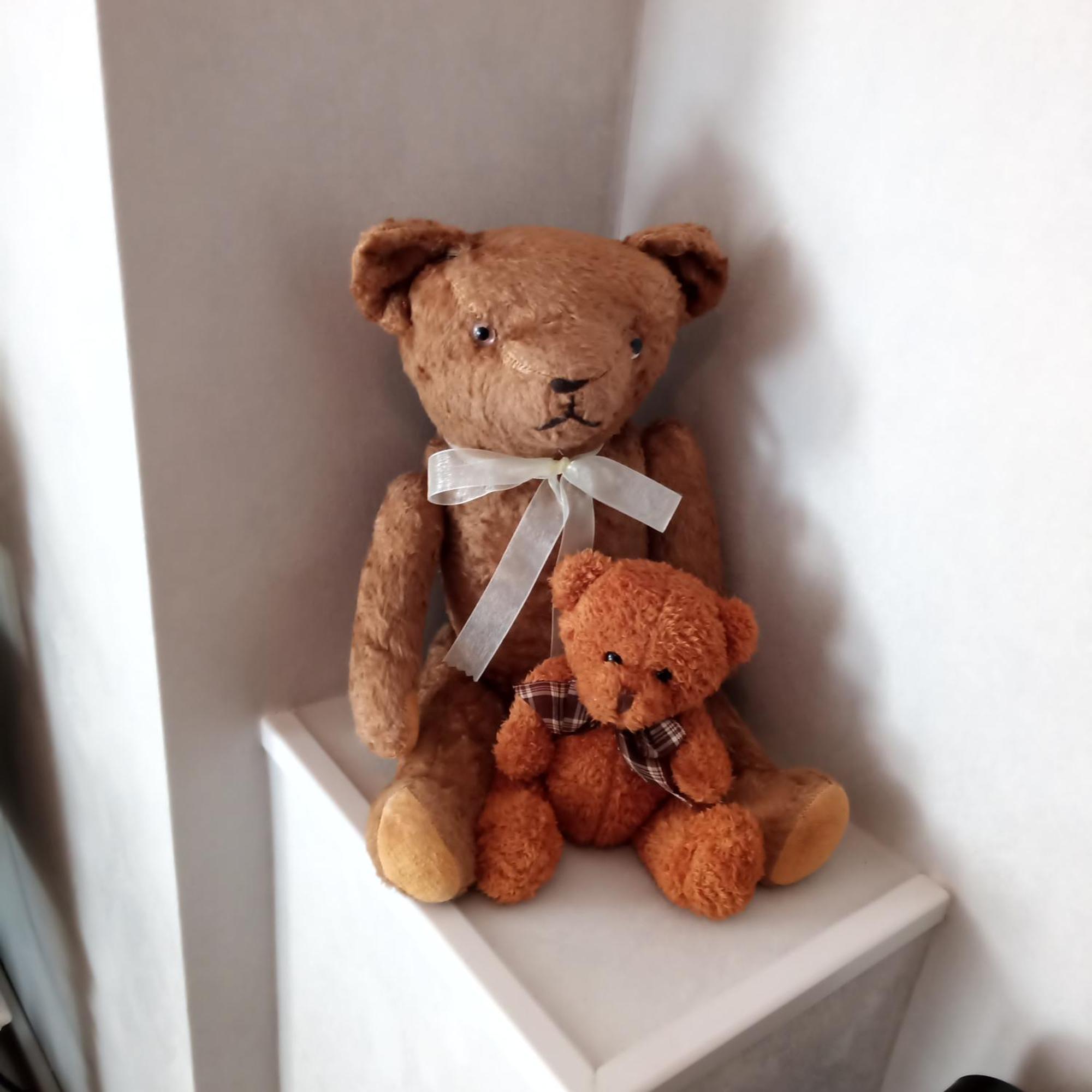 Nounours Et Paillette *
